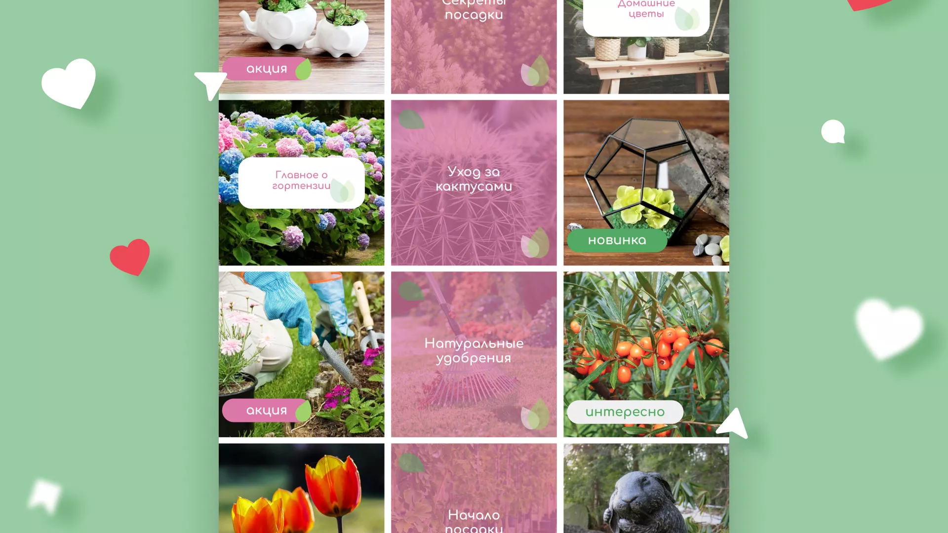 Разработка оформления профиля Instagram для магазина «Floraint» в Шимановске