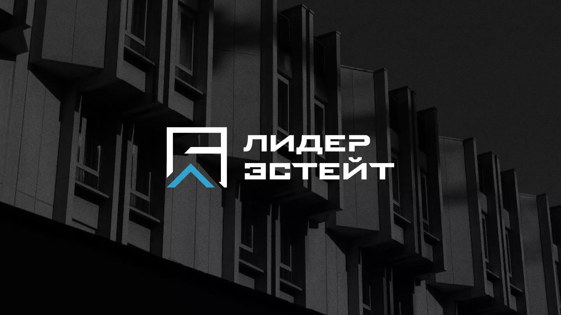 Разработка логотипа агентства недвижимости «Лидер Эстейт» в Шимановске